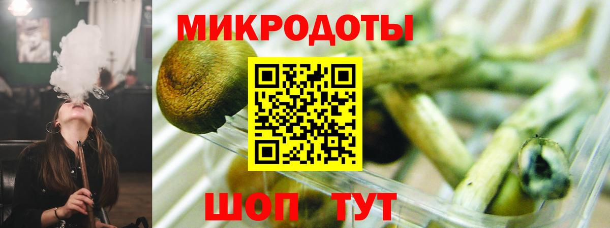 Псилоцибиновые грибы мицелий Богданович